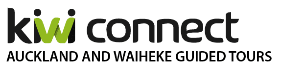 kiwi-connect-logo-tagline 1