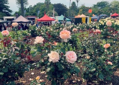 1Parnell Rose Garden Kiwi Tuk Tuk Tour