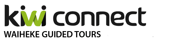 kiwi-connect-logo-tagline 1