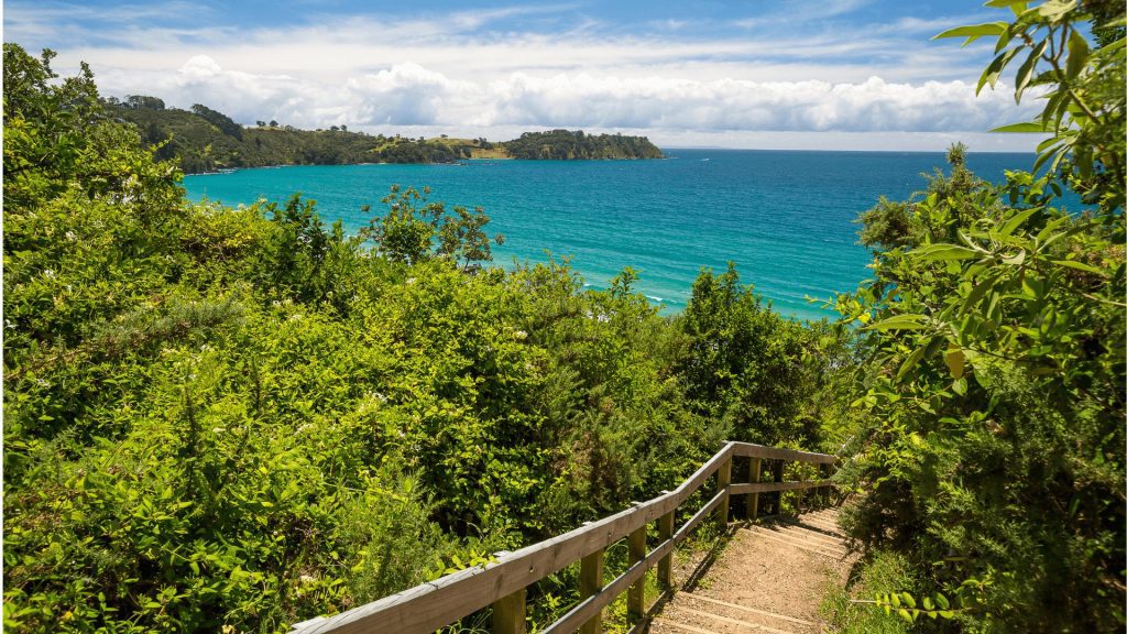Stunning coastal hiking trail on Waiheke Island with turquoise ocean views, lush native bush, and scenic walkway. Discover the best outdoor adventure and panoramic lookout spots on New Zealand’s Waiheke Island.
