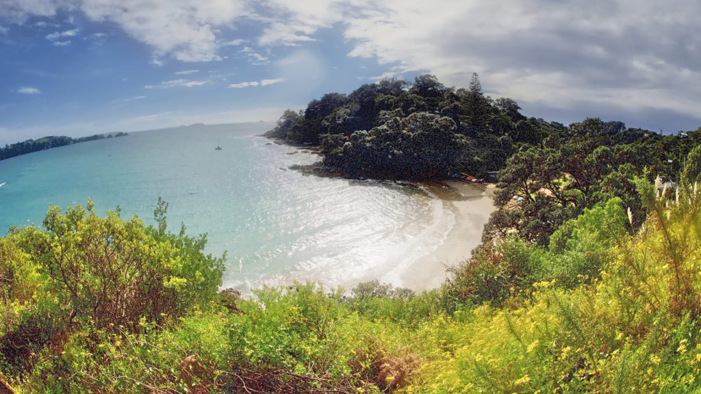 Idyllic Waiheke Island beach view with lush greenery, calm turquoise sea, and golden sand. Discover secluded coastal trails and scenic outlooks for the ultimate New Zealand nature walk adventure.