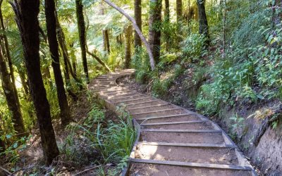 Top Waiheke Island Walks: Explore Scenic Trails and Breathtaking Views